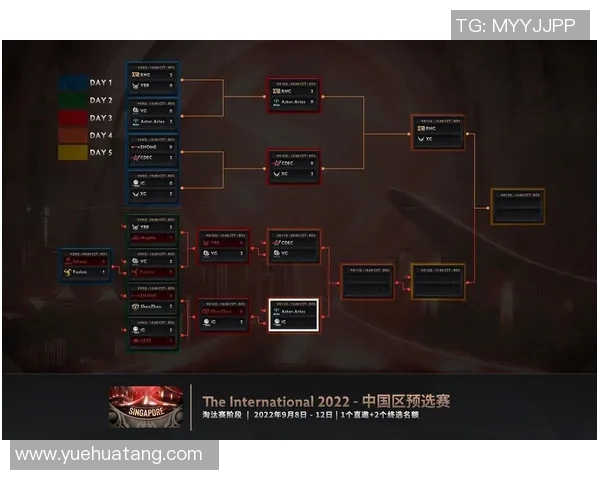 DOTA2深度解析IG战队运营策略与战术布局的成功之道