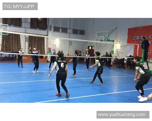 刘军的排球之路:从赛场到人生的精彩对话与回忆